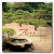 Buy Dan Gibson - Zen Relaxation Mp3 Download