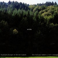 Purchase Rodolphe Burger - Welche - On N'est Pas Indiens C'est Dommage