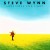 Buy Steve Wynn - Sweetness And Light Mp3 Download