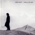 Buy Steve Wynn - Melting In The Dark Mp3 Download