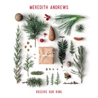 Purchase Meredith Andrews - Receive Our King