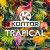 Buy Dj Mix - Kontor Trapical 2017.01 CD4 Mp3 Download