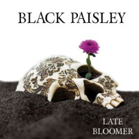 Purchase Black Paisley - Late Bloomer