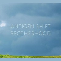Purchase Antigen Shift - Brotherhood