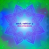 Purchase Diane Arkenstone - Soul Nektar 2