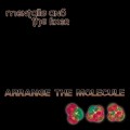 Buy Mentallo and The Fixer - Arrange The Molecule Mp3 Download