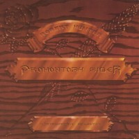 Purchase Robert Hunter - Promontory Rider (Vinyl)