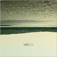 Purchase Cabinet - Leap