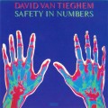 Buy David Van Tieghem - Safety In Numbers Mp3 Download