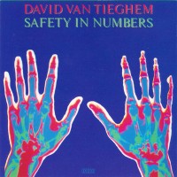 Purchase David Van Tieghem - Safety In Numbers