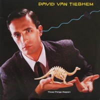 Purchase David Van Tieghem - These Things Happen (Vinyl)