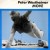 Buy Peter Westheimer - Move (Vinyl) Mp3 Download