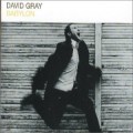 Buy David Gray - Babylon (CDS) Mp3 Download