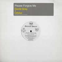 Purchase David Gray - Please Forgive Me (VLS)