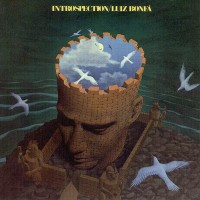 Purchase Luiz Bonfa - Introspection (Vinyl)