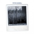 Buy Peter Hammill - From The Trees Mp3 Download