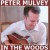 Buy Peter Mulvey - In The Woods Mp3 Download