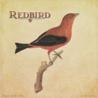 Purchase Peter Mulvey - Redbird