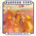 Buy Blossom Toes - What On Earth: Rarities 1967-69 Mp3 Download