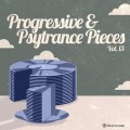 Buy VA - Progressive & Psytrance Pieces, Vol. 13 Mp3 Download