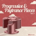 Buy VA - Progressive & Psy Trance Pieces Vol. 9 Mp3 Download