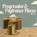 Buy VA - Progressive & Psy Trance Pieces Vol. 12 Mp3 Download