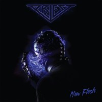 Purchase Priest - New Flesh