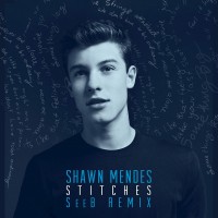 Purchase Shawn Mendes - Stitches (Seeb Remix) (CDS)