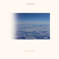 Purchase Terekke - Plant Age