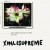 Buy Xinlisupreme - Tomorrow Never Comes Mp3 Download