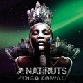 Buy Natiruts - Índigo Cristal Mp3 Download