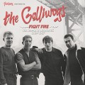 Buy The Golliwogs - Fight Fire: The Complete Recordings 1964-1967 Mp3 Download