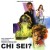 Purchase Franco Micalizzi- Chi Sei? (Limited Edition 2011) MP3