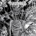 Buy Tomb Mold - Primordial Malignity Mp3 Download