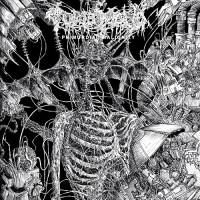 Purchase Tomb Mold - Primordial Malignity