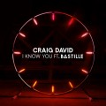 Buy Craig David - I Know You (CDS) Mp3 Download