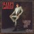 Buy Sleepy LaBeef - Larger Than Life CD5 Mp3 Download