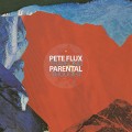 Buy Pete Flux & Parental - Traveling Thought Mp3 Download