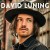 Buy David Luning - Restless Mp3 Download