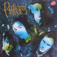 Purchase National Velvet - National Velvet (Vinyl)