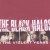 Buy The Black Halos - The Violent Years Mp3 Download