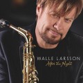 Buy Walle Larsson - After The Night Mp3 Download