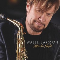 Purchase Walle Larsson - After The Night