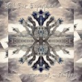 Buy 3Rd Ear Experience - Stones Of A Feather Mp3 Download