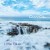 Buy Davol - Little Blue (CDS) Mp3 Download