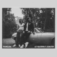 Purchase Peking Duk - Let You Down (Feat. Icona Pop) (CDS)