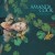 Buy Amanda Cook - Deep Water Mp3 Download