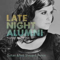 Purchase Late Night Alumni - You Can Be The One (Sultan & Ned Shepard Remix) (CDS)
