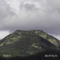 Purchase Foot - Buffalo