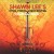 Buy Shawn Lee - Strings & Things Mp3 Download